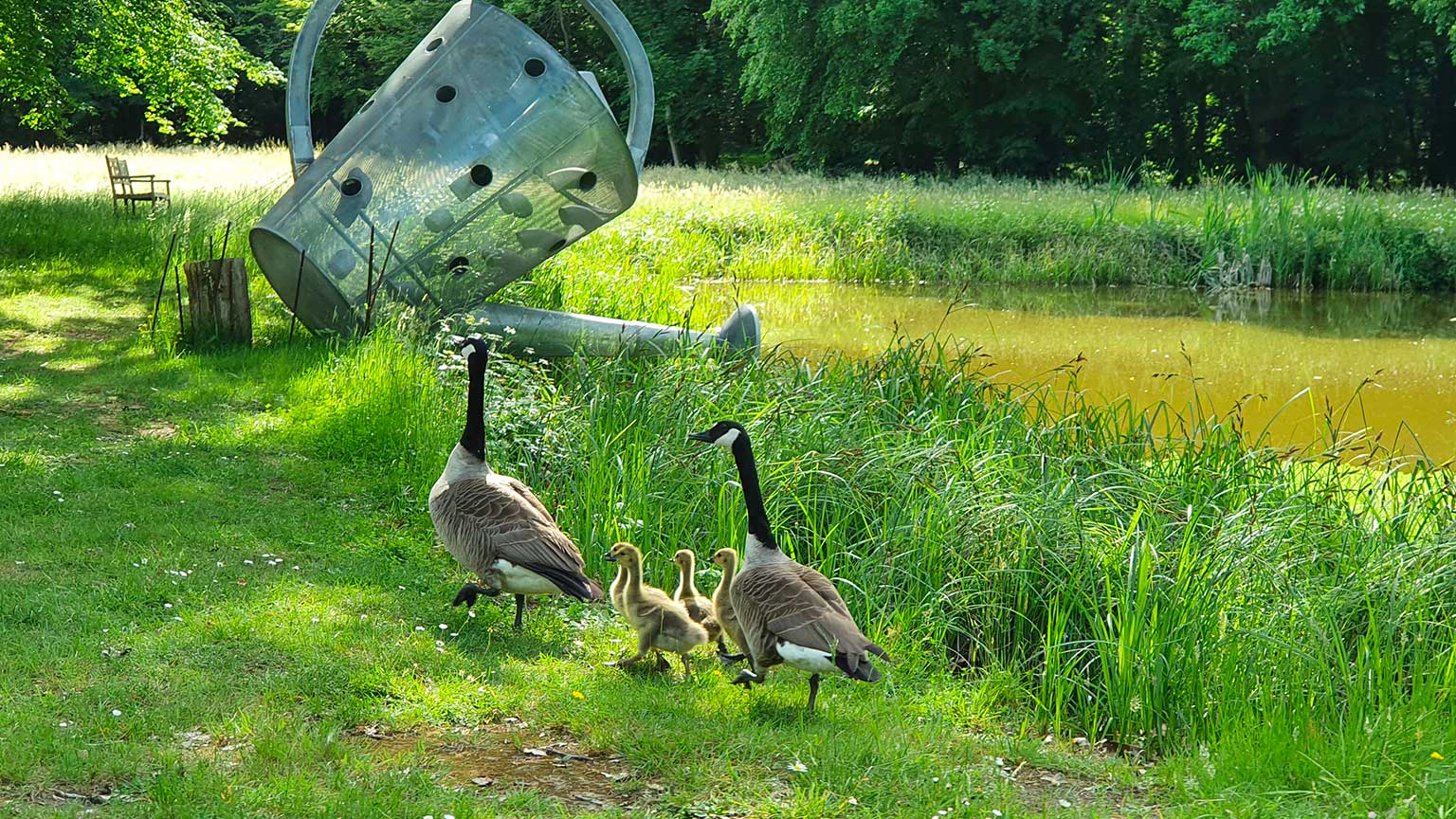 Visitez Saint-Jean de Beauregard en famille